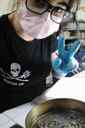 Bárbara Ruzzi no laboratório da UFS, separando as amostras.(Foto: Arquivo pessoal)