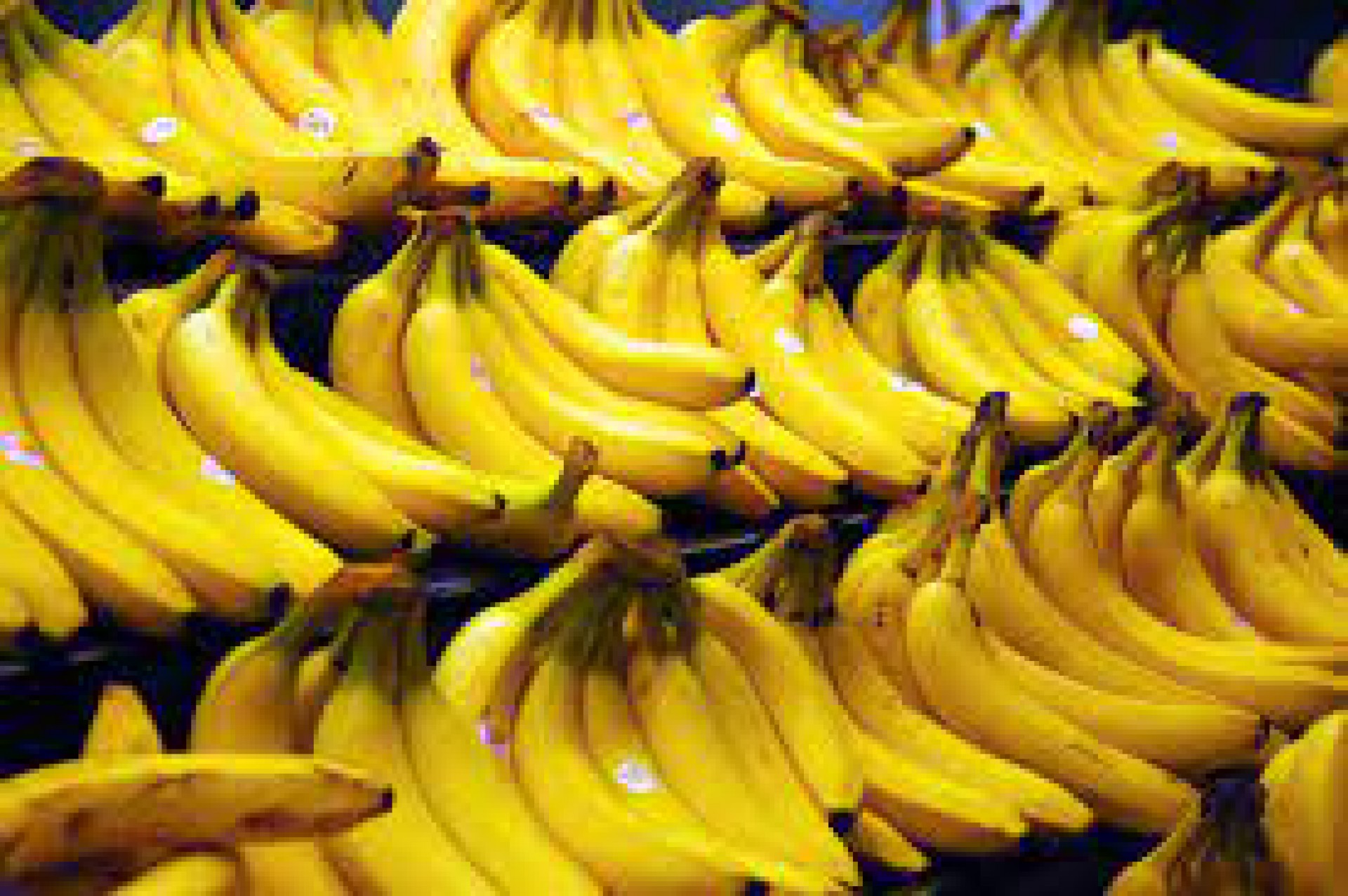 Haja banana (Foto: Arquivo)