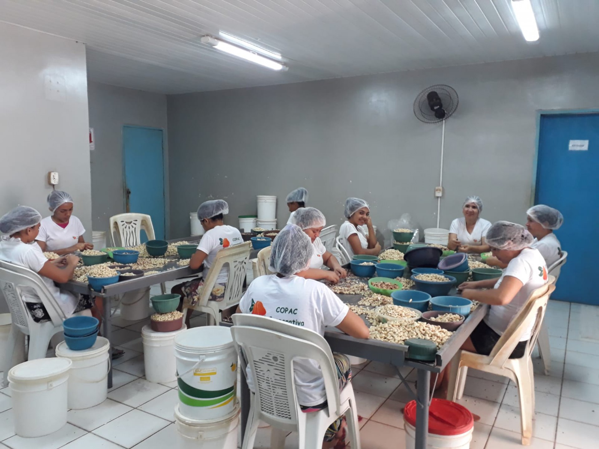 Beneficiamento na Central de Cooperativas Copacaju (Foto: Divulgação Copacaju)