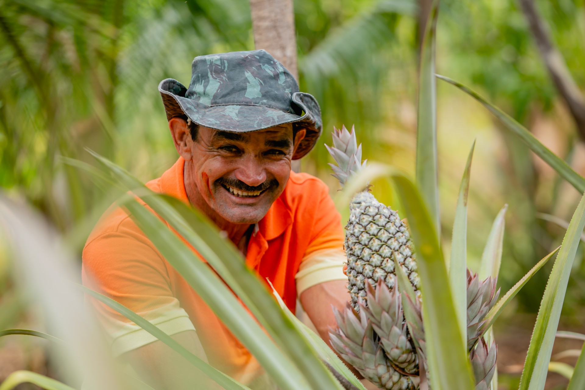 Em Irauçuba, município cearense afetado pela desertificação, quintais agroflorestais garantem segurança alimentar para famílias. Na foto, seu Antônio mostra orgulhosamente o abacaxi fruto do quintal produtivo. (Foto: Aurelio Alves)