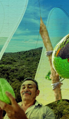 Imagem da reportagem: Mudanças climáticas no Ceará