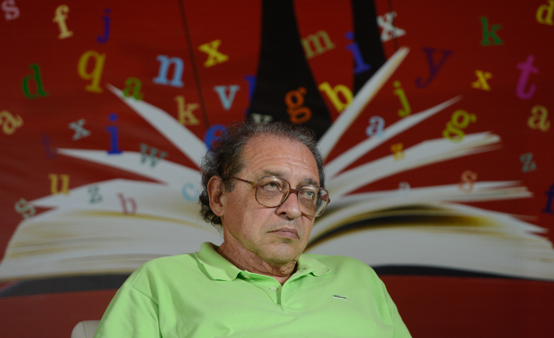 O escritor Ruy Castro  (Foto: Rodrigues Pozzebom/Agência Brasil)