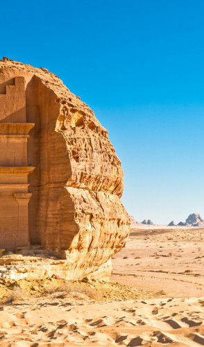 Apesar do nome, cobre uma parte maior da Jordânia. A vida selvagem está ameaçada devido a secas e caça.