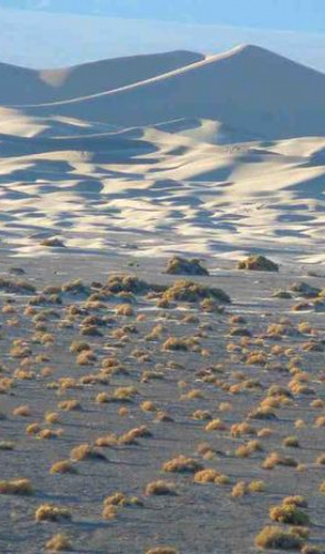 <i>Grande Bacia</i> | Isolado pelo paredão da Serra Nevada, que barra a umidade, é um dos grandes desertos da América do Norte.