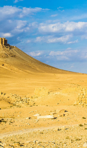 <i>Sírio</i> | Em uma área de planaltos rochosos e arenosos, abriga biodiversidade resistente e ruínas de cidades antigas.
