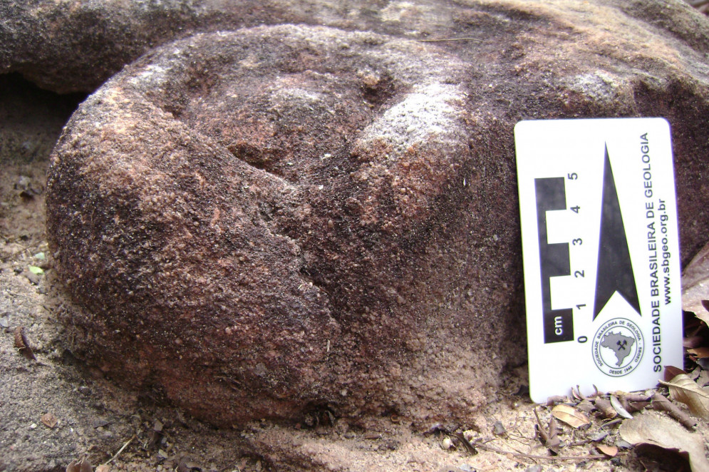 Moldes de anêmonas do mar NA Fazenda Contra-Fogo em Pacujá (CE).(Foto: Arquivo LABOPALEO )