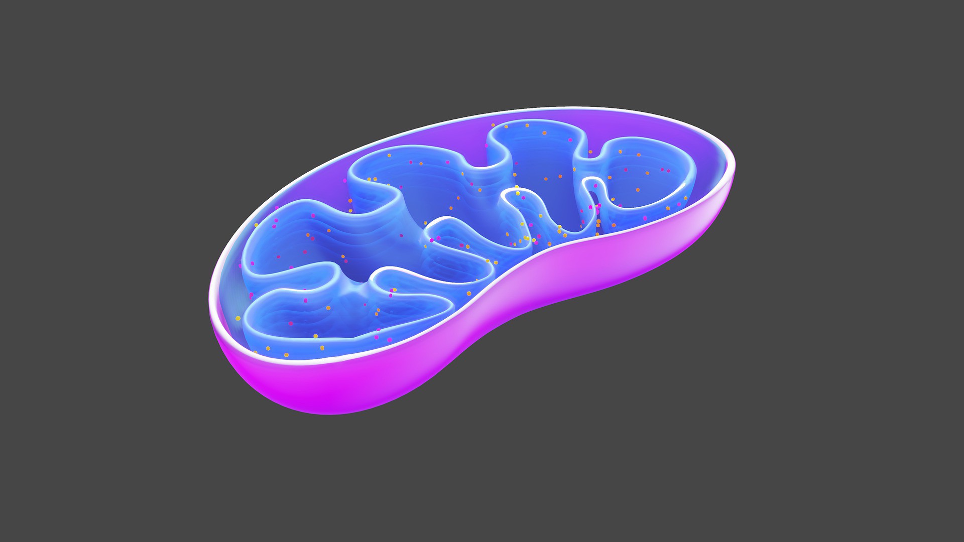 Mitocrôndia (Foto: SkieTheAce / Pixabay)