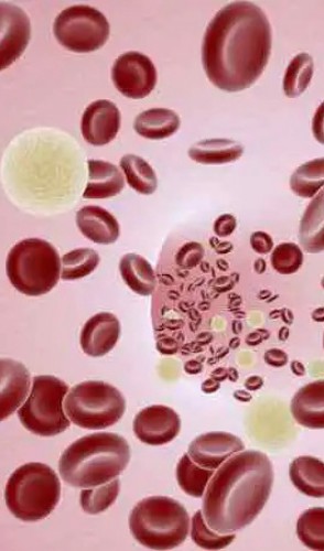 Beber muita água pode provocar o desequilíbrio na concentração de eletrólitos no sangue, como sódio.