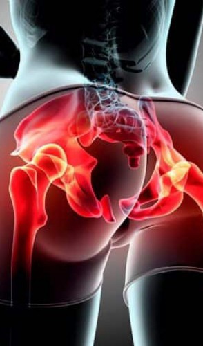 Assim como ossos, tendões e ligamentos não ficam atrás, trazendo inúmeros benefícios. Entre eles: