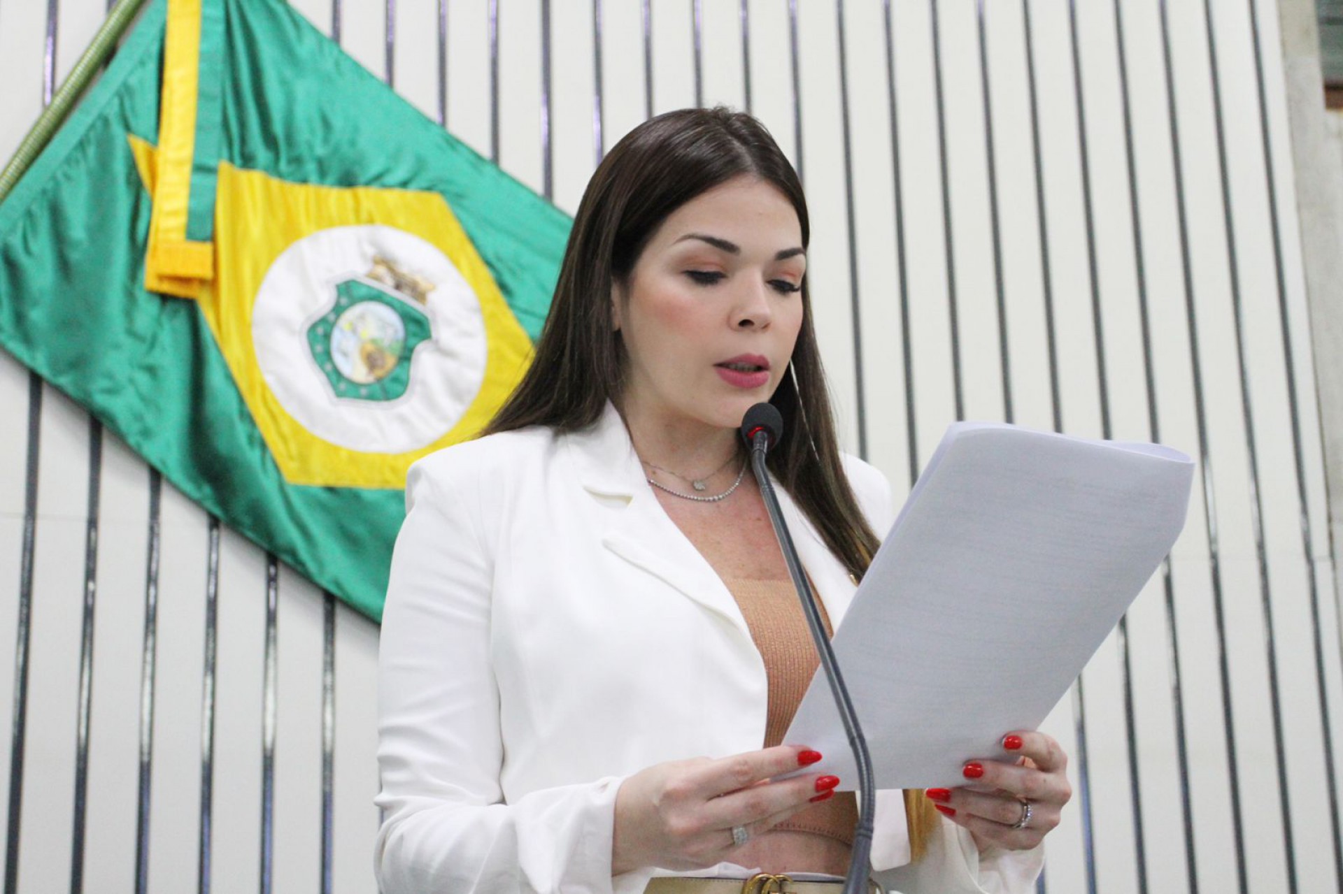 Juliana Lucena (PDT) (Foto: Divulgação)