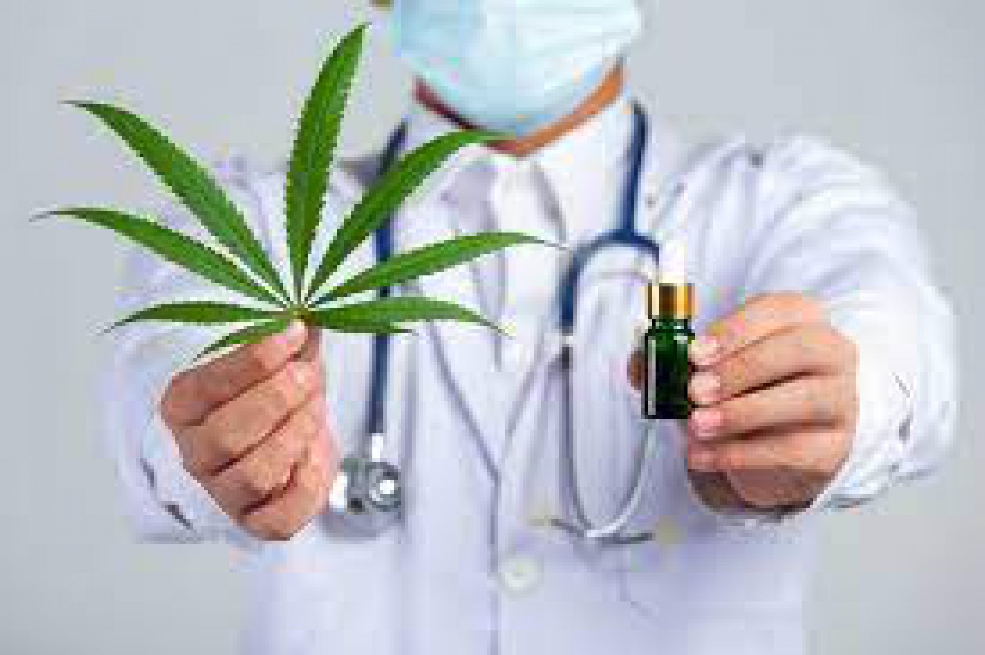Cannabis medicinal (Foto: Freepik)