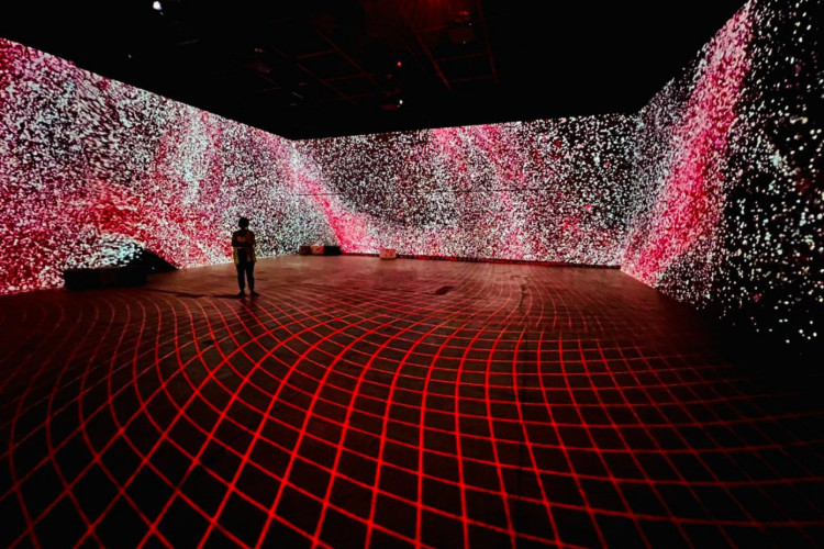 Instalação audiovisual "Coragem", no MIS, foi resultado do Ateliê Imersivo "Mestre é quem de repente aprende", conduzido em 2022 pelo artista Batman Zavareze(Foto: Deyvison Teixeira/Divulgação)