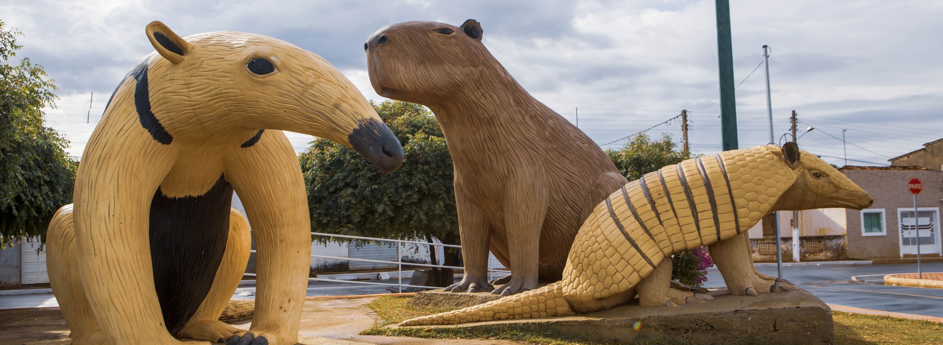 40 ideias de Capivara em 2023  capivara, capivaras, capivara desenho