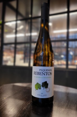 Pequenos rebentos 