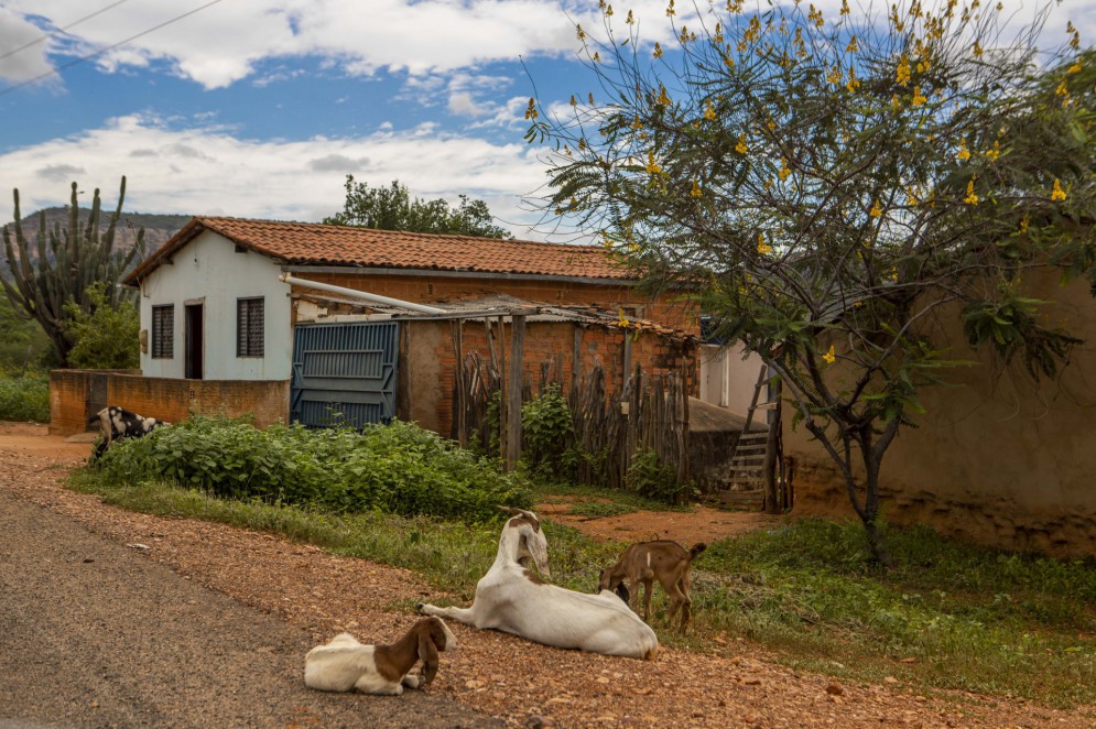 Algumas casas às margens das estradas para o Parque Nacional Serra da Capivara.(Foto: FCO FONTENELE)