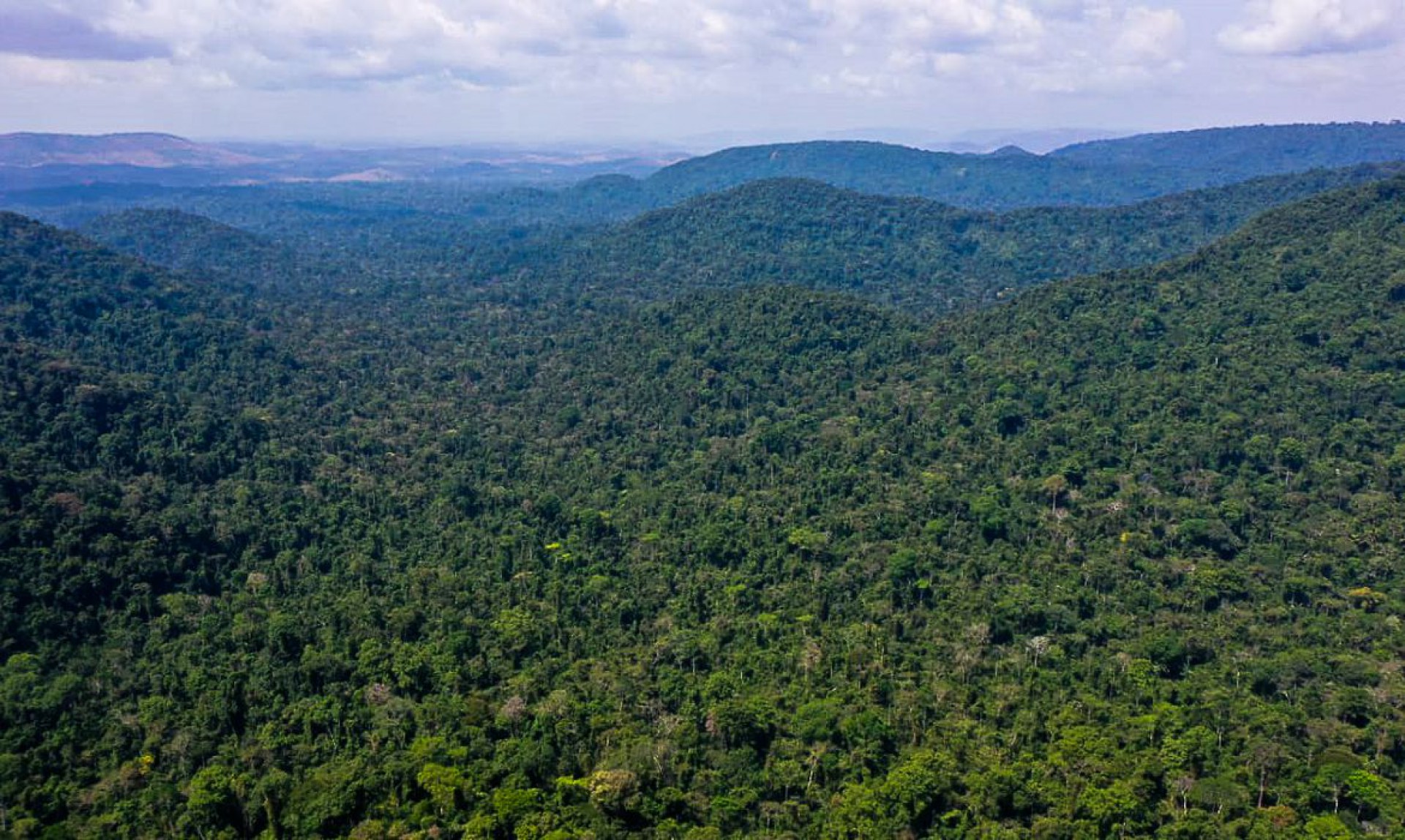 A Amazônia peranece na mira da exploração (Foto: TV Brasil)