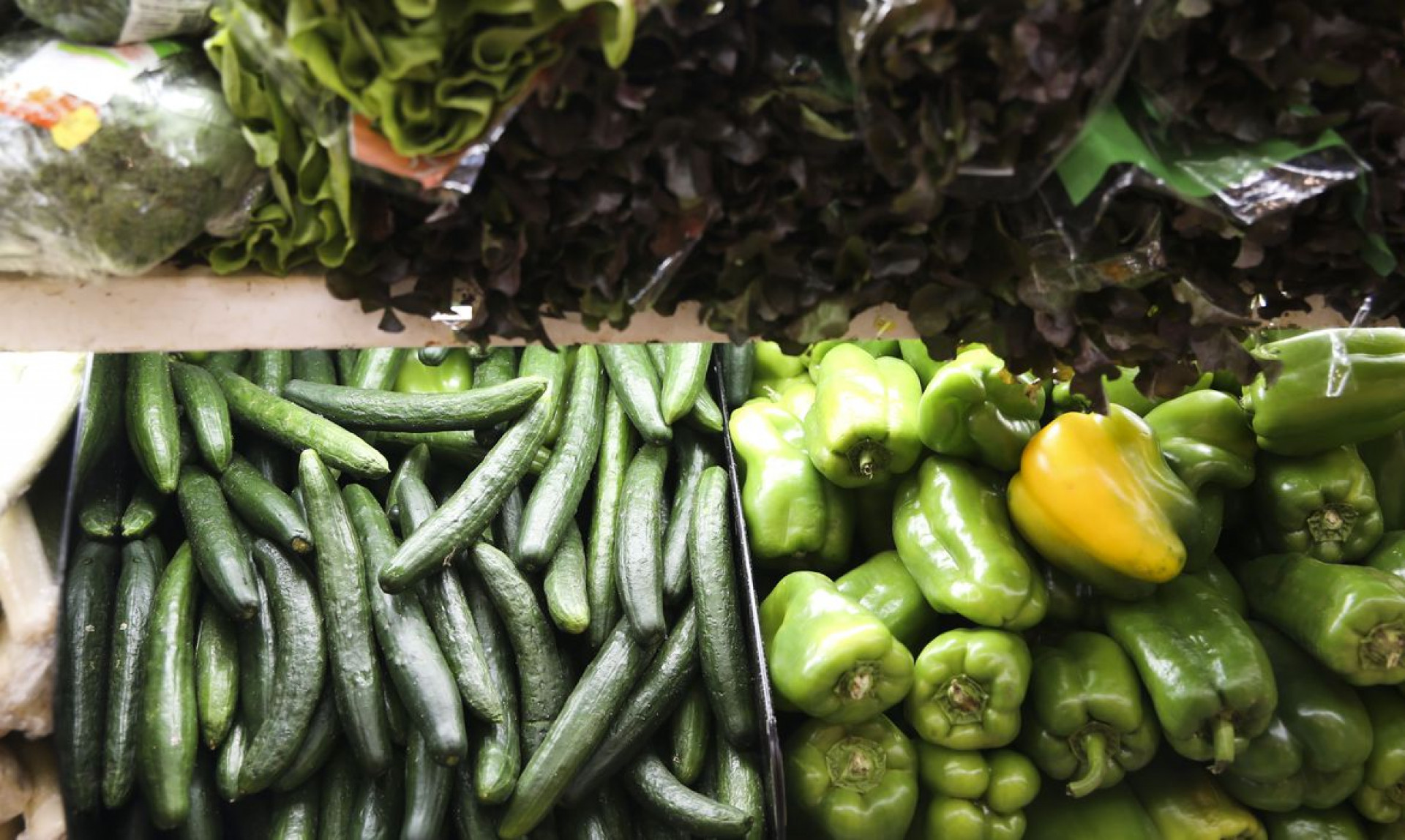 Hortaliças, legumes e verduras são termos utilizados para designar produtos nutricionais, agrícolas e culinários que se referem a plantas ou partes destas, geralmente consumidas por humanos como alimento. A produção familiar ou em pequena escala de hortaliças é feita em hortas (Foto: Valter Campanato/Agência Brasil)