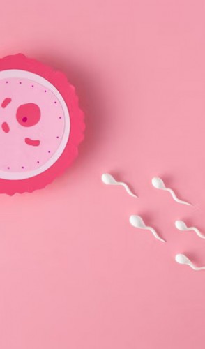 É um processo cirúrgico que impede o encontro do ovócito com o espermatozoide. 