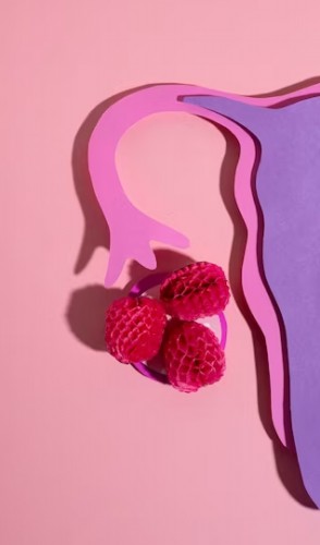 São 3 possibilidades: amarrar as trompas de falópio com anéis de plástico; ou cortar as trompas…