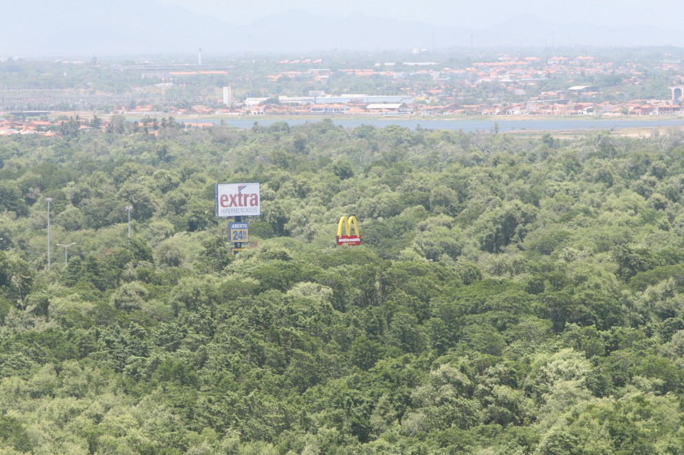 Lagoa poluída no Parque do Cocó. Na foto: Vista aérea do Parque do Cocó(Foto: FCO FONTENELE)