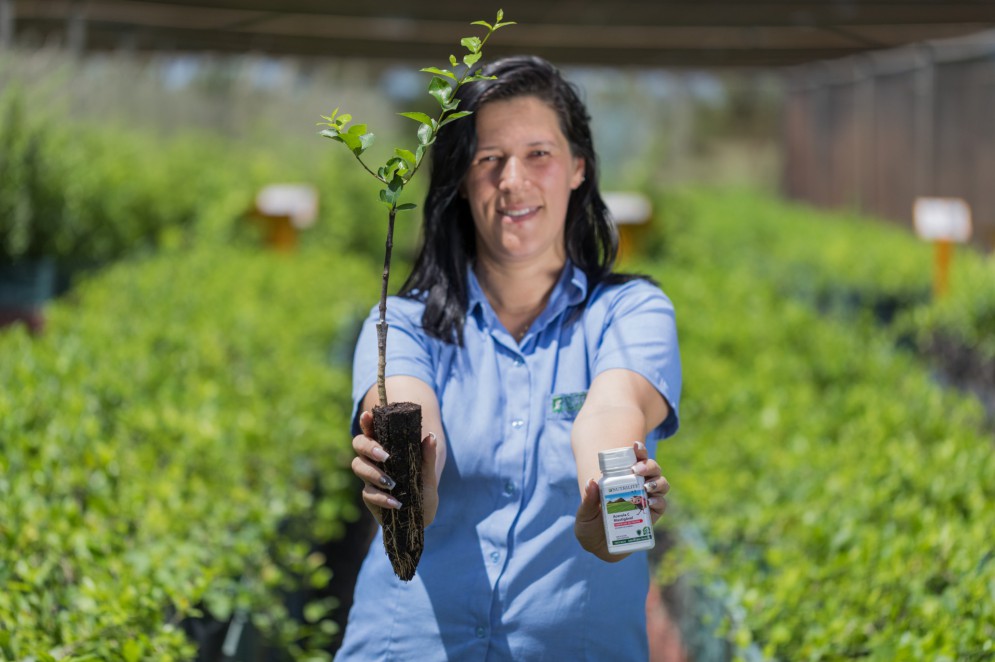 Talita Adeodato, gerente agrícola da Fazenda Amway Nutrilite do Brasil presenciou operação agrícola com dificuldades na gestão dos custos, por falhas em registros de campo, se transformarem em processos 100% rastreáveis, com uso da digitalização(Foto: Gustavo Rampini - rampini.gmr@gmail.com; Gustavo Rampini)