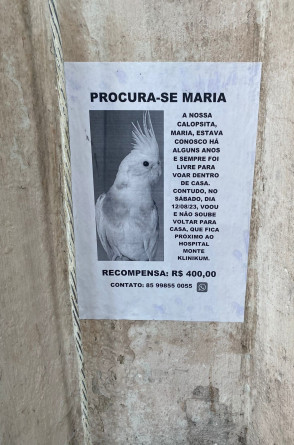 A busca por Maria(Foto: Acervo pessoal)