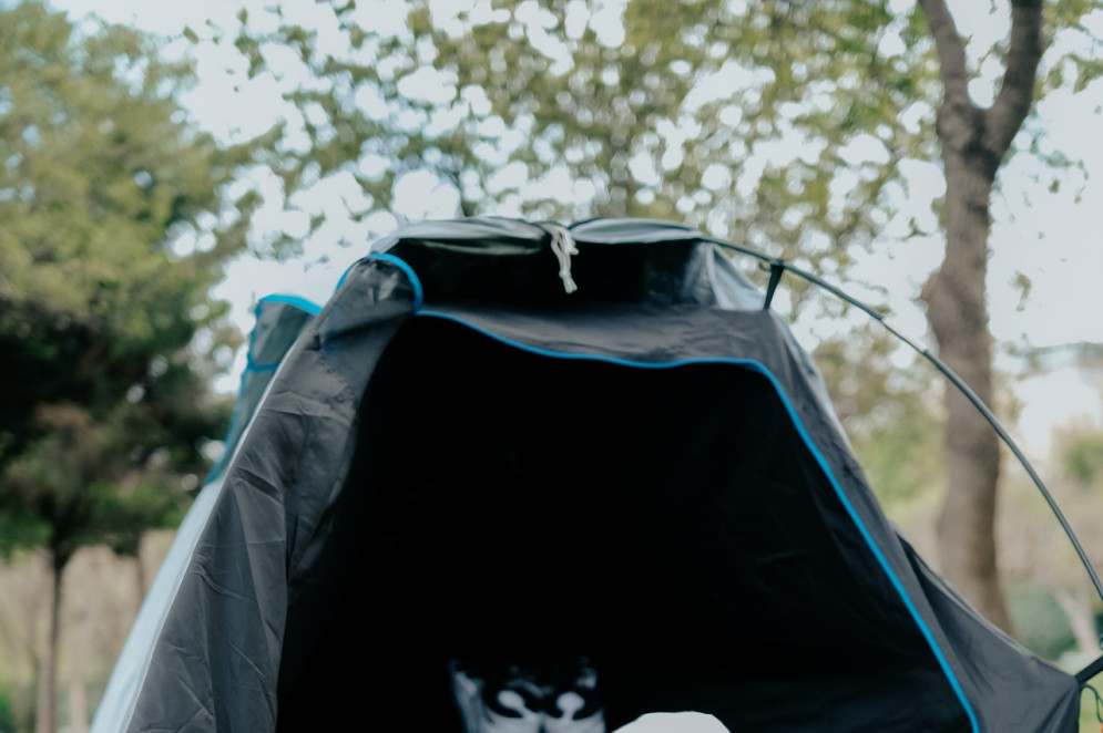 Você também pode aproveitar a folga para descobrir novas atividades.