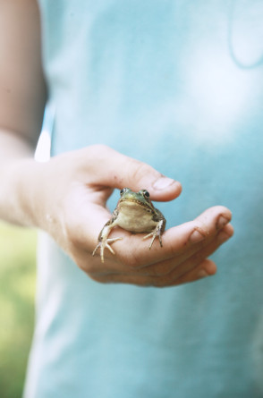 Uma das categorias de maus-tratos aos animais é a de experimentos, incluindo colocar sal em sapos e lesmas.(Foto: Tsunami Green / Pexels)