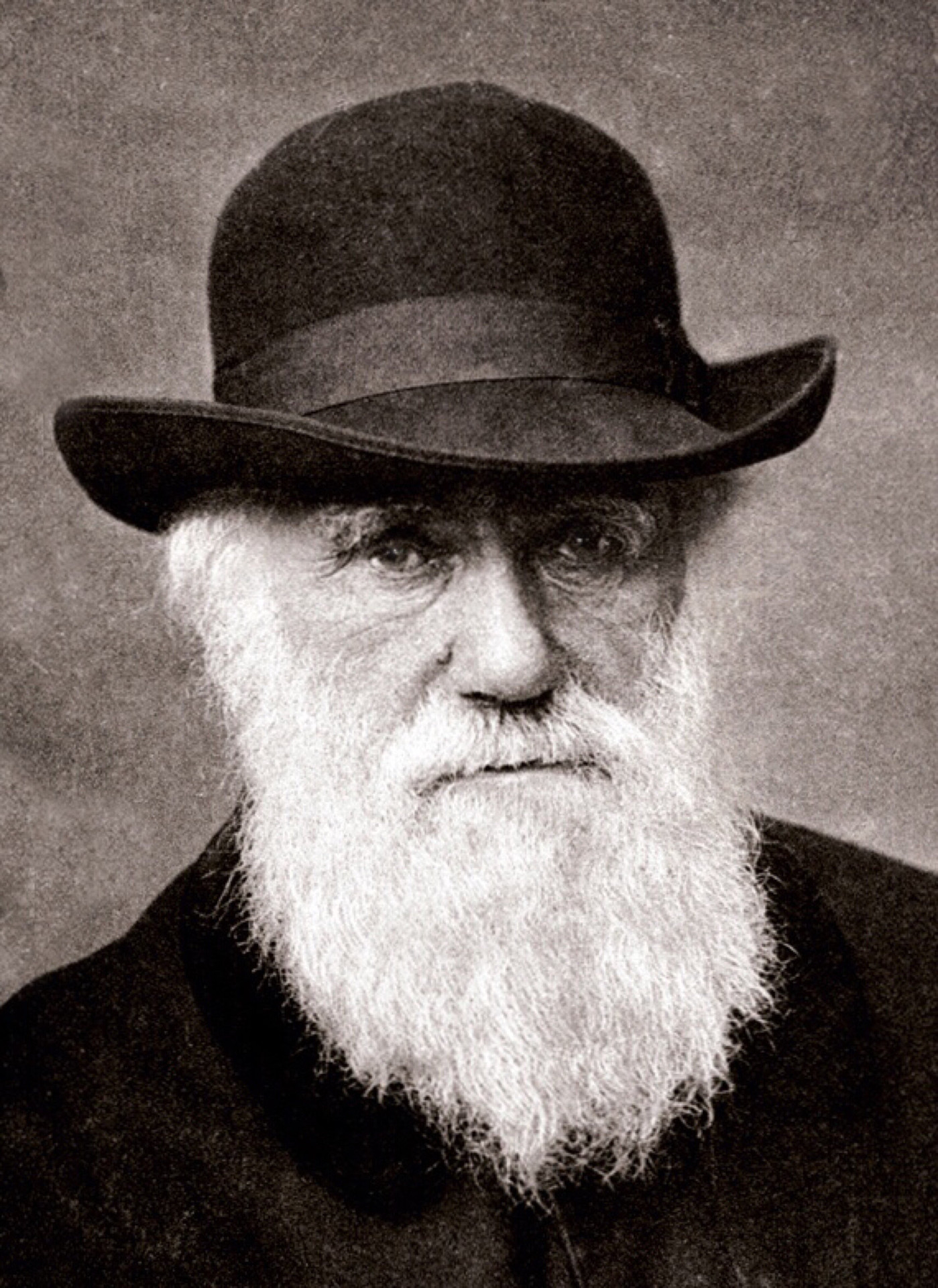 Charles Darwin - 1880 (Foto: 