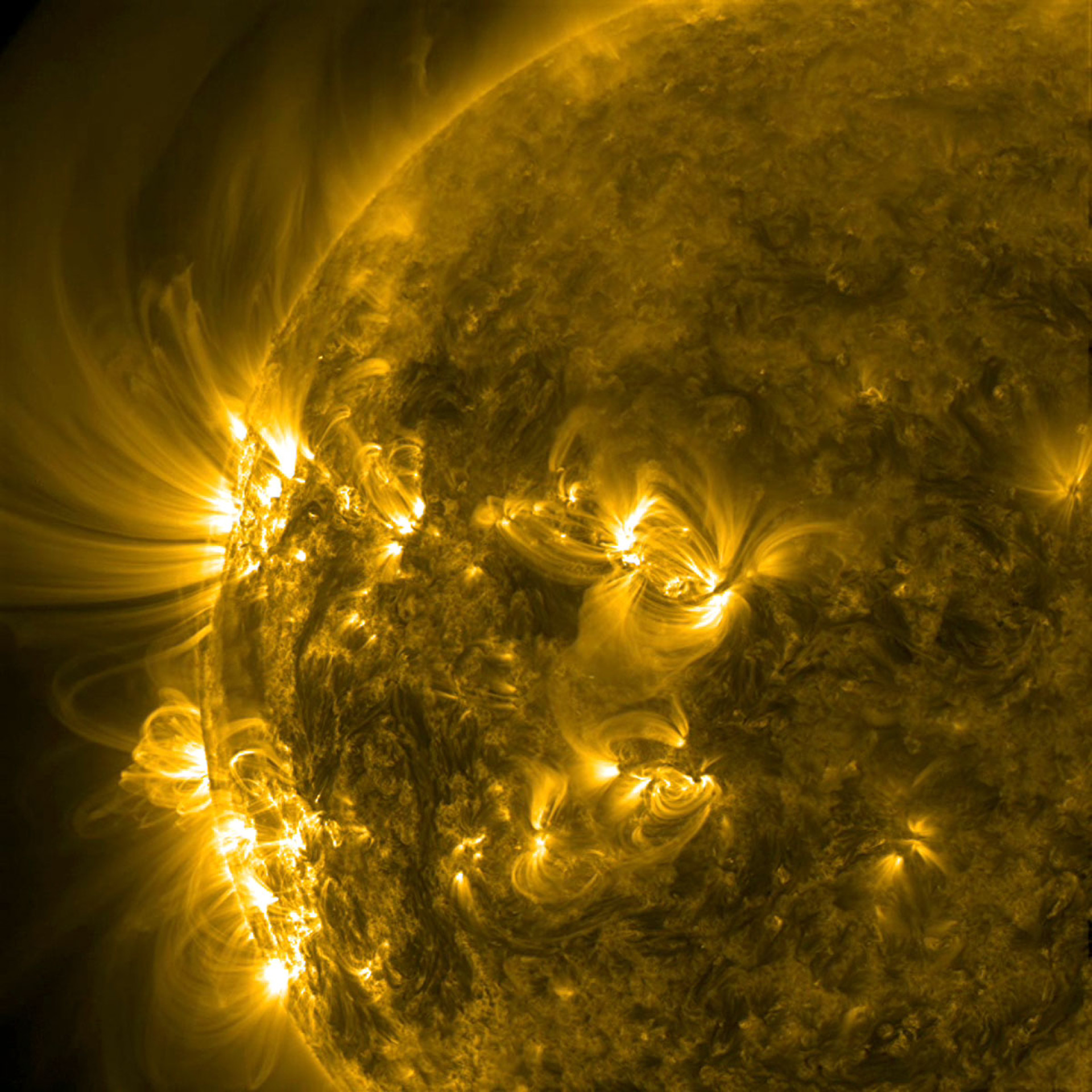 Duas regiões ativas com seus campos magnéticos intensos produziram arcos imponentes e espirais solares em junho de 2014 (Foto: Nasa)