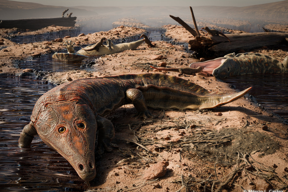 O anfíbio gigante Kwatisuchus rosai em seu hábitat: uma terra inóspita, devastada pela maior extinção em massa da história do planeta(Foto: Márcio Castro)