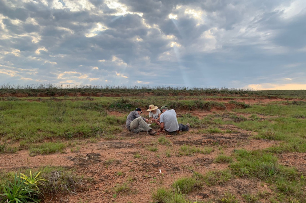 Momento da descoberta do Kwatisuchus, em uma fazenda de Rosário do Sul(Foto: Alice Dias)