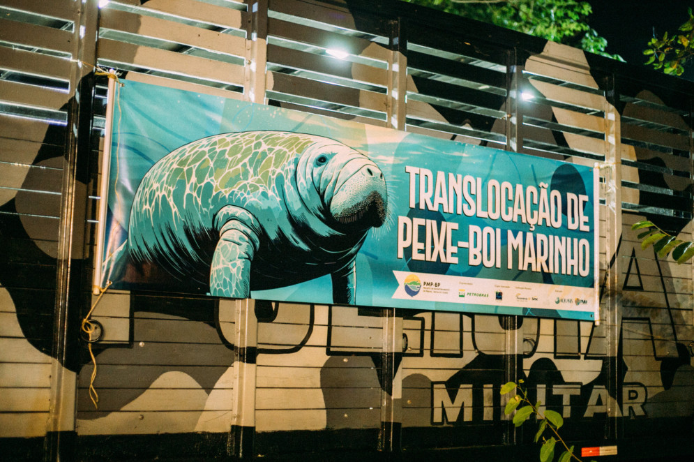 A peixe-boi saiu de Caucaia à Icapuí na madrugada do dia 7 de fevereiro de 2024(Foto: Mika Holanda e Geice Magalhães / Acervo Aquasis)