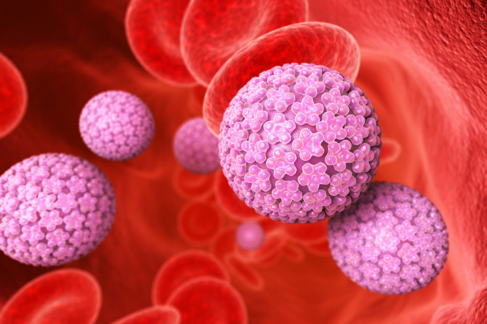 Atualmente existem mais de 200 tipos de HPV,(Foto: Tatiana Shepeleva / Adobe Stock)