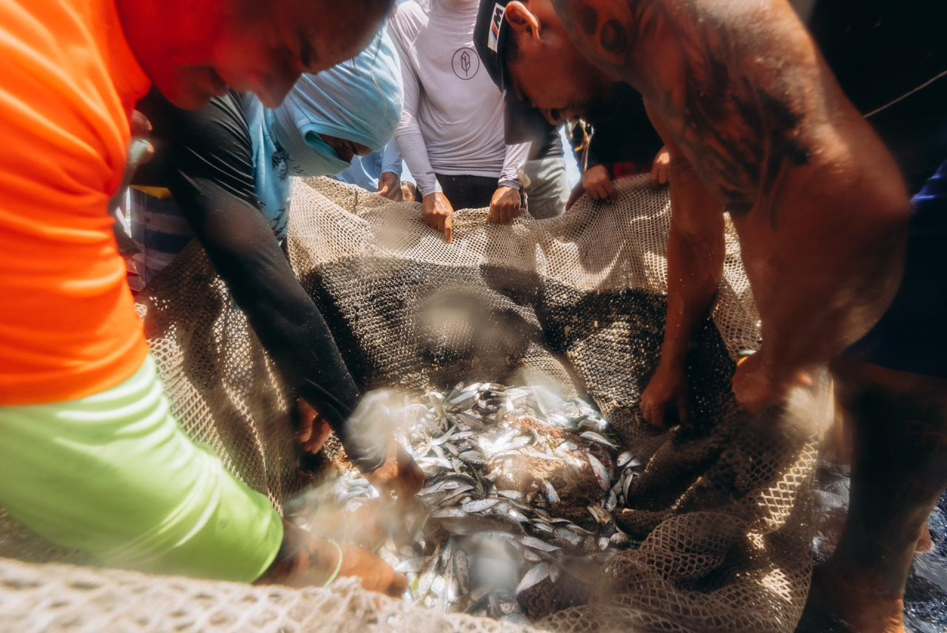 Pesca artesanal no Ceará  (Foto: estúdio voa/ divulgação )