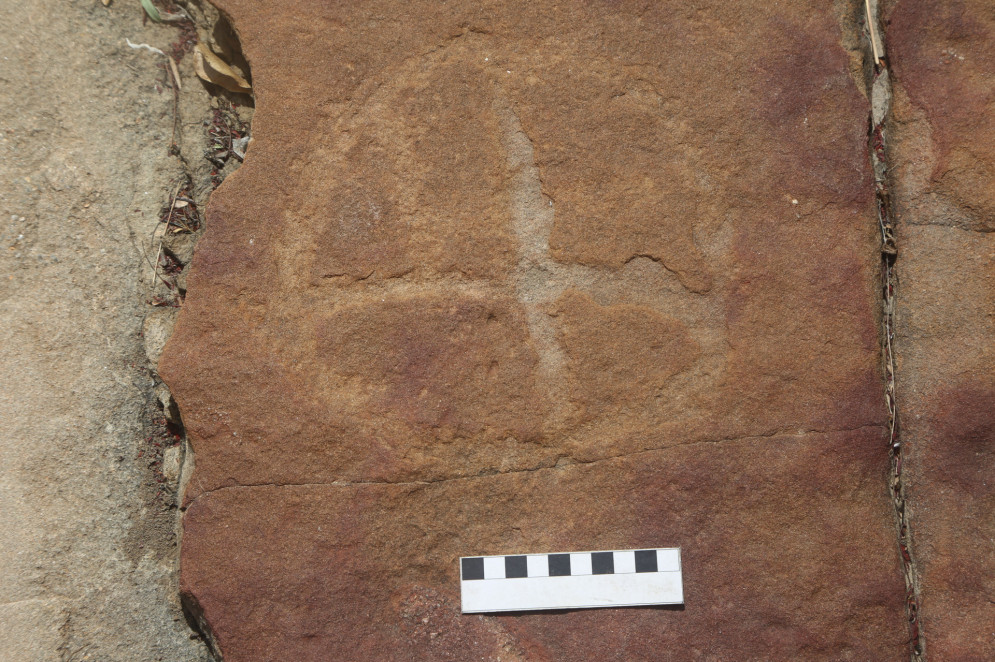 Gravura rupestre, um petróglifo, na rocha onde estão as pegadas(Foto: Divulgação)