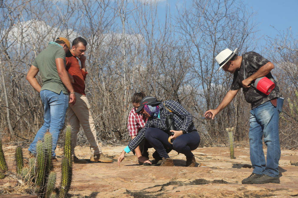 O grupo de arqueólogos e paleontólogos analisando as pegadas e as artes rupestres(Foto: Divulgação)