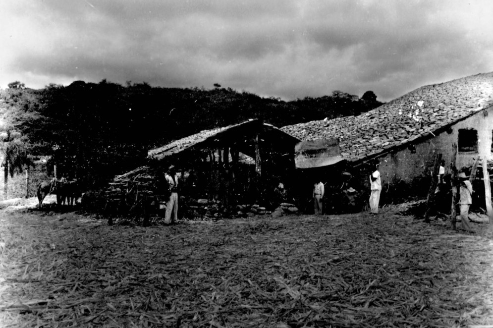 Engenho para a produção de rapadura no Crato (CE) - 1952 (Foto: IBGE)