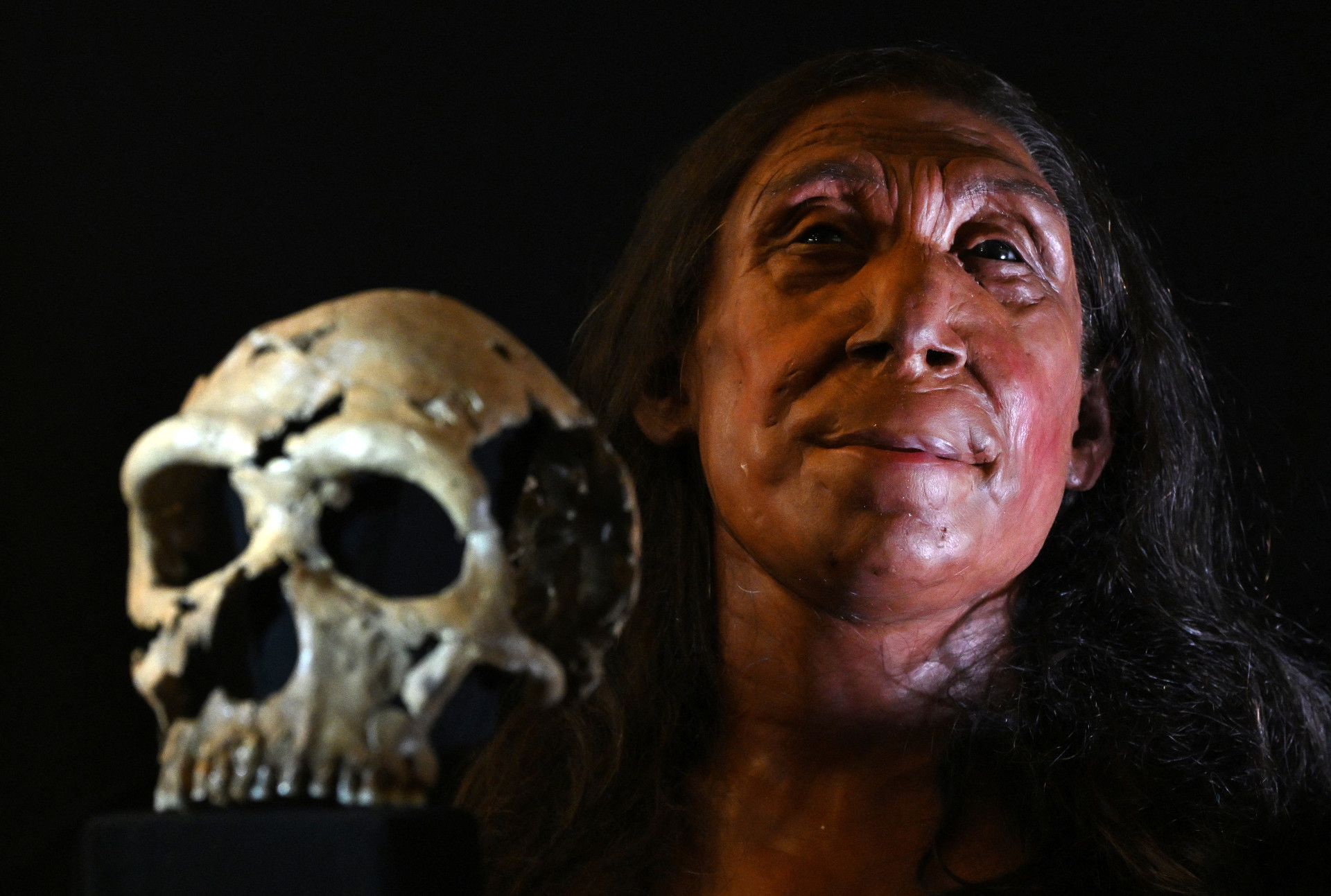 ￼CRÂNIO e uma reconstrução física do rosto e da cabeça de uma mulher neandertal (Foto: Justin TALLIS/AFP)