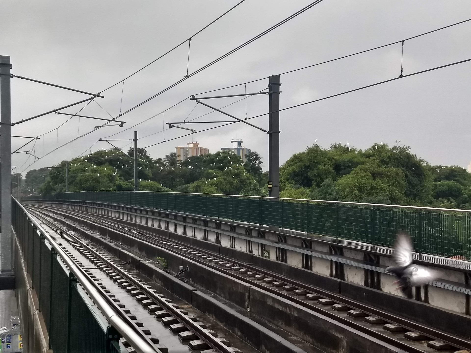 O olhar de Abdiel: Estação da Parangaba (Foto: ABDIEL ANSELMO)