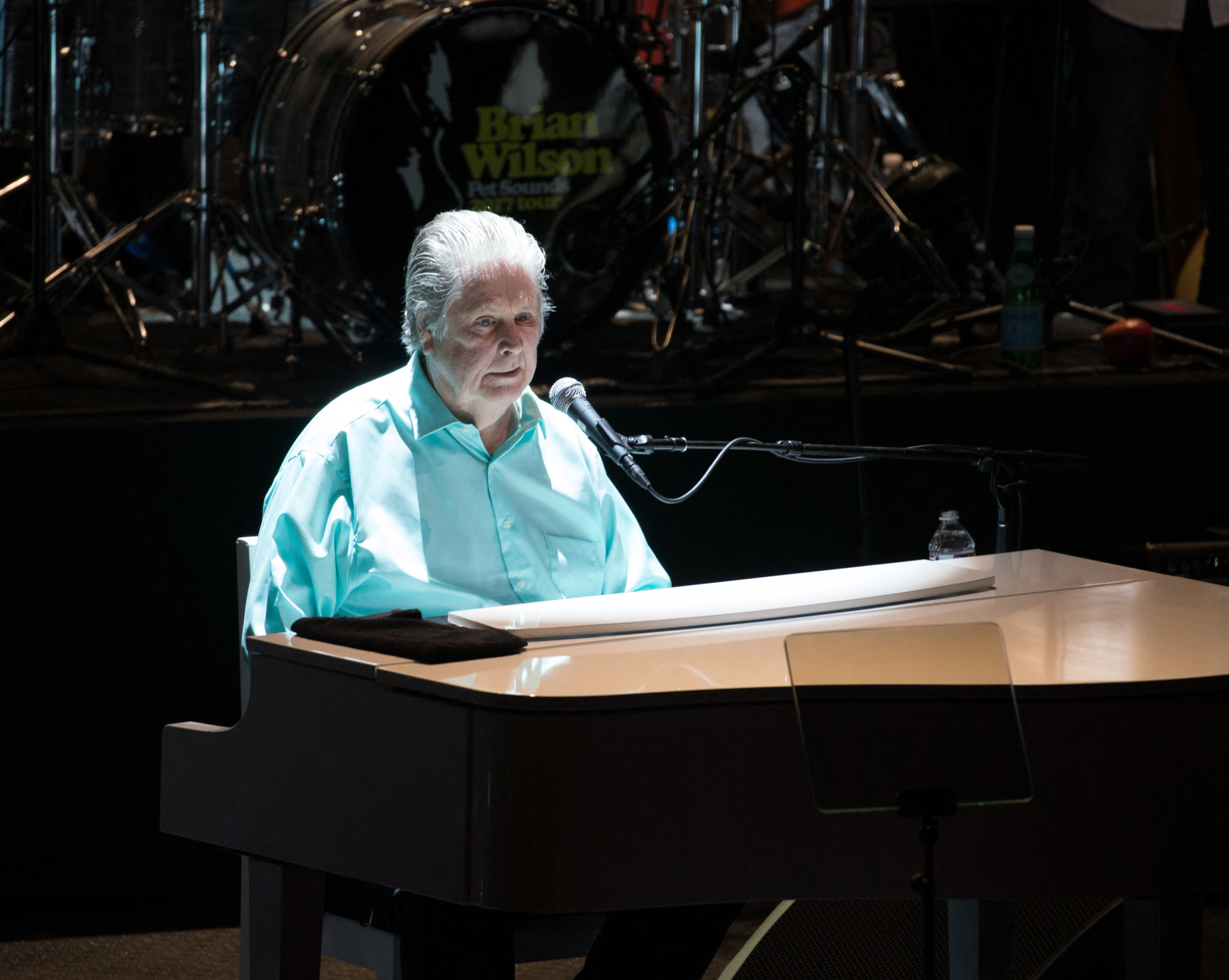 Brian Wilson, mentor dos Beach Boys, durante concerto em Austin, em 2017 (Foto: SUZANNE CORDEIRO / AFP)