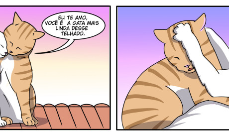 zootirinhas