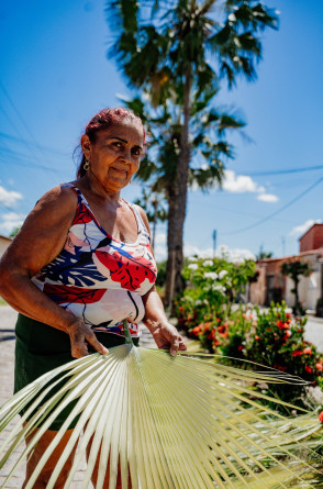 Dona Conceição prepara folha da canaúba para produzir artesanato em palha (Foto: Júlio Caesar )