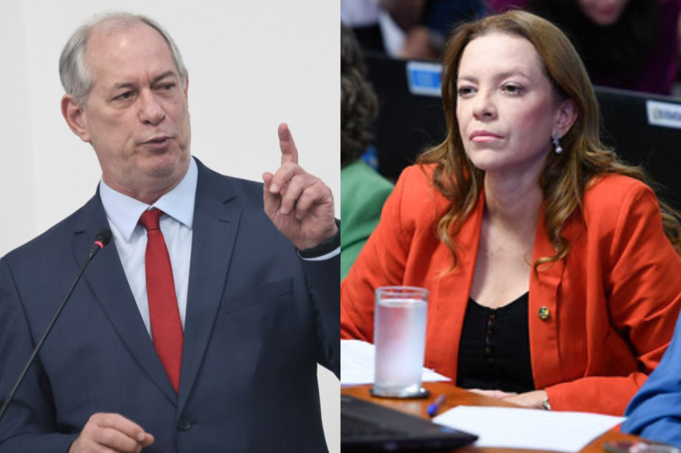 ￼CIRO fez falas machistas contra Janaína Farias(Foto: André Lima/CMFor e Edilson Rodrigues/Agência Senado)
