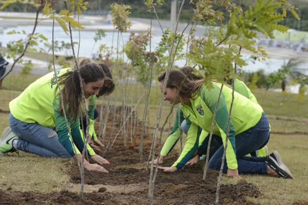 Pelo planejamento original, após as Olimpíadas as sementes seriam levadas para Deodoro e formariam a Floresta dos Atletas, um legado olímpico verde e que atravessaria gerações(Foto: Tânia Rêgo/Agência Brasil)