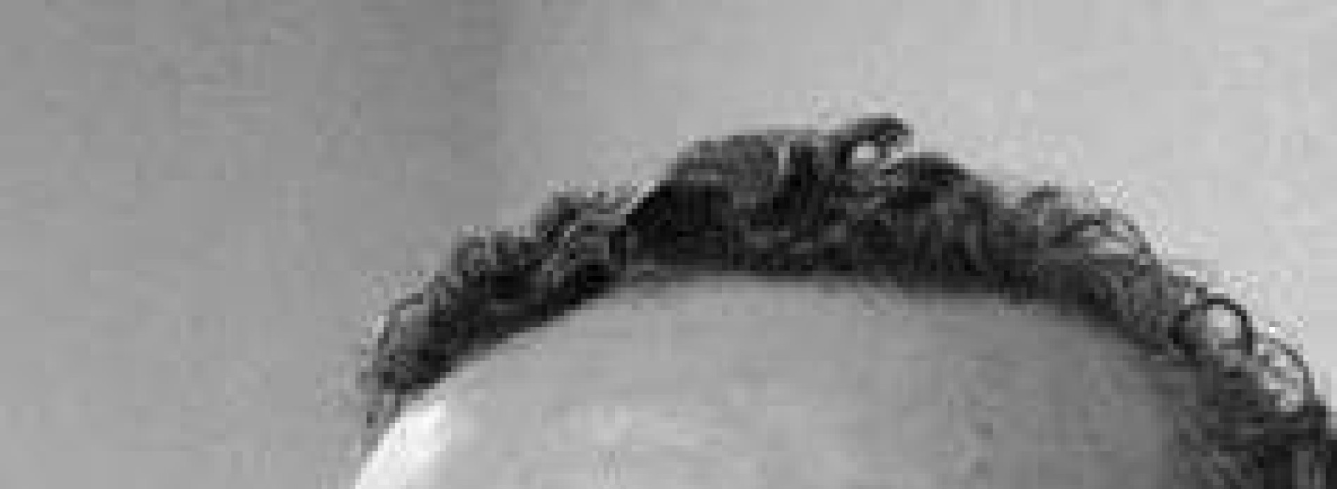 Francisco Wildys de Oliveira. Tributarista e Professor, Conselheiro da Fundação SINTAF. (Foto: Arquivo Pessoal)