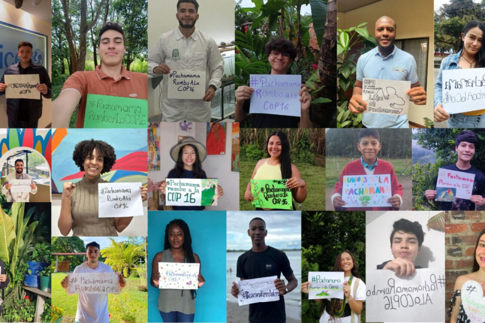 Os ativistas selecionados pelo projeto vivem em regiões MAPA, sigla em inglês para Áreas e Pessoas mais Afetadas ambientalmente.(Foto: Life of Pachamama )