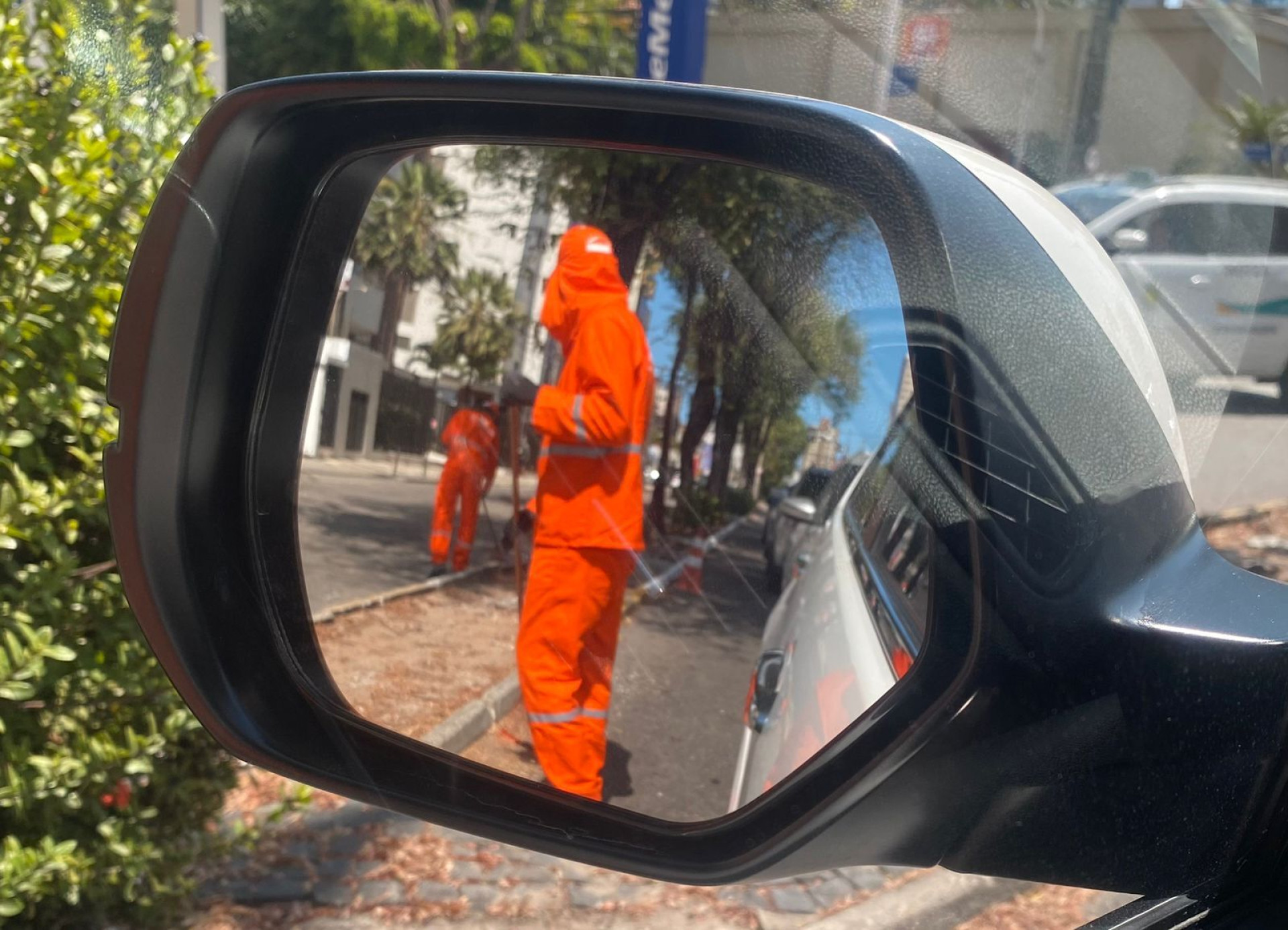 Grupo de garis varrendo o canteiro central da avenida Padre Antônio Tomás (Foto: Danilo Fontenelle)