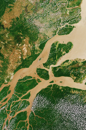 Imagem de satélite do Delta do Amazonas entre os estados do Pará e do Amapá na região norte do Brasil.(Foto: ESA, CC BY-SA IGO 3.0)