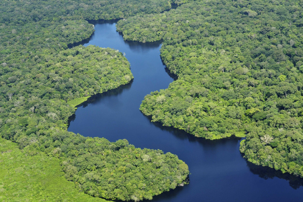 Rio Amazonas visto de cima.(Foto: (c)NEIL PALMER PHOTOGRAPHY)